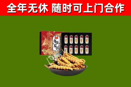 滁州市烟酒回收冬虫夏草礼盒.jpg